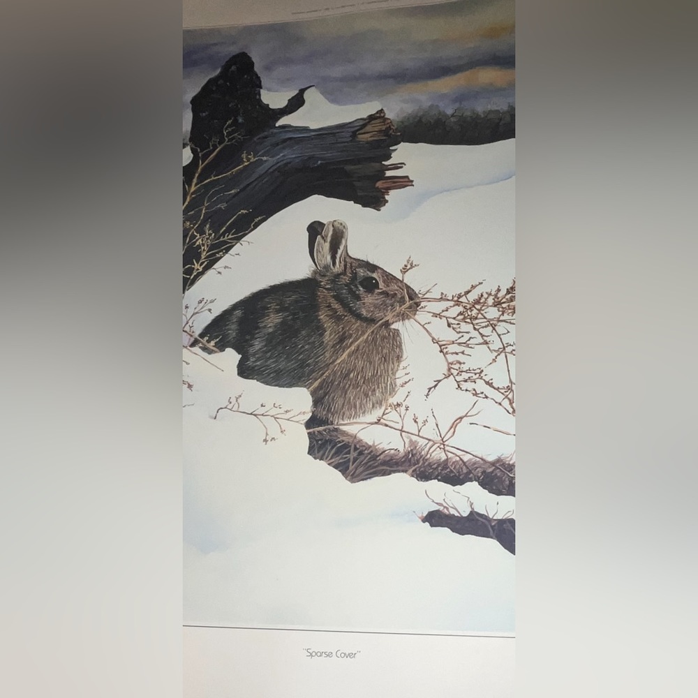 Winter Rabbit painting